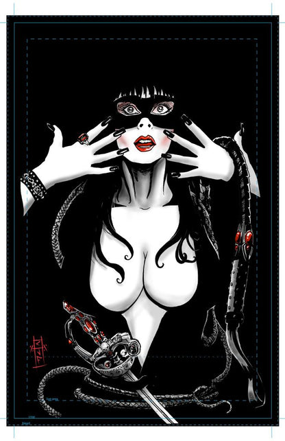 (HOLO FOIL) EL ZIRRA VIRGIN (ELVIRA ZORRO MASHUP) ARTBOOK BY CHRIS J FREDRICKS LIMITED TO 15 (NUMBERED) DALLAS FAN EXPO